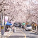 용평사거리 이미지