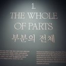 2013-주037 | 국립현대미술관(서울, 과천, 덕수궁) 임시휴관! 국립현대미술관 &lt;수평의 축 (Axis of Horizon) &gt; 관람 후기