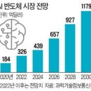 AI 반도체가 성패 좌우..국책연구소 만들고 전문인력 육성해야 이미지