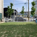 하비펫샵 이미지