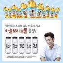 보리보틀 일간스포츠
