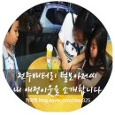 털보밧데리 이미지