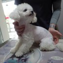 화원 명곡우체국 이미지