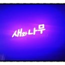 상원샷시