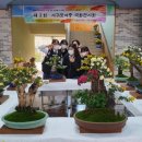 서귀포여자중학교 이미지