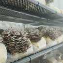 홍제농장 이미지