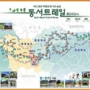 528 코리아중앙데일리