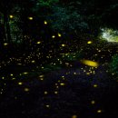 정말공원 이미지