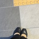 동계시장 | [인턴] WPP media - 동계 인턴 합격 후기