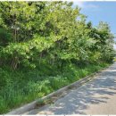 스타비치 이미지