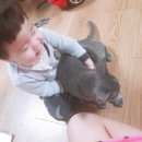 형민농장 이미지