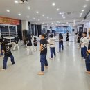 날아라 용인대 태권도장 이미지