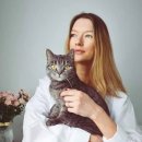 애묘(고양이)백과 - 유러피안 쇼트헤어 (European Shorthair Cat) 이미지