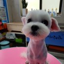 (주)마루다