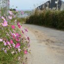 내동마을 영농조합법인 이미지