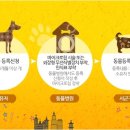 헤세드동물병원 이미지