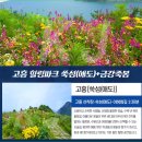 {섬테마&amp;인증 36인승 2026년 6월 6일 토요일 ]고흥군 쑥섬(애도)수국꽃섬&amp;봉래산 편백숲 트레킹 관광 이미지
