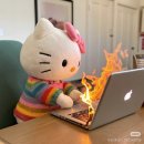 올포유 - 파주시 문화로 69 | W7. 아이폰스냅 본식 후기(올포유 스냅)