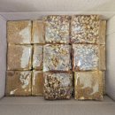 성남사랑의병원 이미지