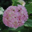자리끼 | 아산요양원 자리끼요양원 시설·식사·돌봄 종합 평가