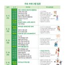 담양대나무축제 이미지
