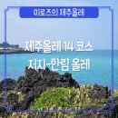 [제주올레#3] 제주도 올레길 14코스 저지-한림 올레 종합 후기 및 정보