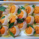 태경농원 이미지