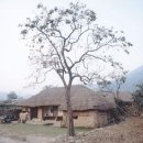 멍석마당 이미지