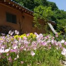 반구대옛집 이미지