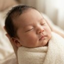 연세맘스그린여성병원 | 입체초음파 후기 일산 연세맘스그린여성의원