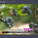 모닝농원