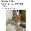 부암마을앞 | [일상] 맨날 생일이었으면 좋겠다.