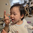 카페바라기 | [부산떡집] 인성편의 떡바라기 영양떡 후기 | 쌍둥이맘의 찐 솔직 리뷰 (feat. 답례떡 추천)