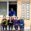 성주4리먹방마을 농민신문