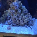 도연가든 이미지