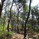 아미로농장 | [충남 당진] 아미산, 몽산, 다불산 연계산행