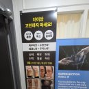 도도스뷰티