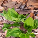 삼봉농원 이미지