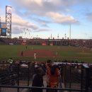 샌프란시스코 자이언츠 홈 구장 AT&T PARK 이미지