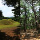 삼릉종가 | 「한국의 보물 마음에 담다」- ‘부처님의 나라 서라벌’ 과 ‘아름다운 우리의 옛 마을’