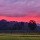 해오름 호스텔 이미지