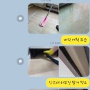 임광세탁 | 경기도 고양이사청소 고양시 백석동 백석마을 임광아파트 2룸 비용과 업체 후기