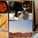 다모아김밥분식 이미지