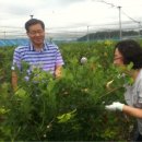 장명농장 이미지