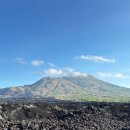 유수농장 | 발리 우붓 여행 4일차. 바투르산 지프투어, 블랙라바, 아카사 카페, 커피농장 체험