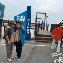 전남 신안군 섬 여행(여행방 정기)기 이미지