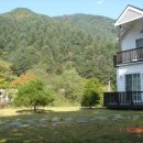 풀향기머무는집 이미지