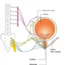 삼인당한의원 이미지
