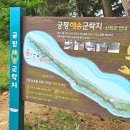 화성디에스병원 | 경기 화성 궁평유원지 무료주차 산책로 갯벌놀이 갔다가 응급실까지 다녀온 하루