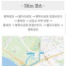 11650-16-102-5 | 2026 제 2회 한강 벚꽃 마라톤 5km 참가 후기